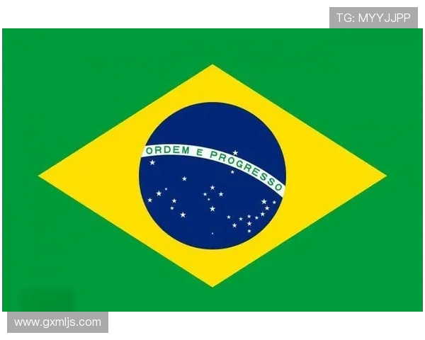 巴西对比利时世界杯经典对决分析与战术比较 巴西对比利时世界杯经典对决分析与战术比较